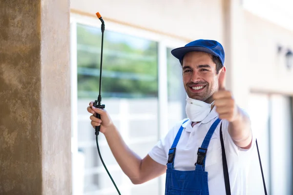 Duncanville Wasp Removal