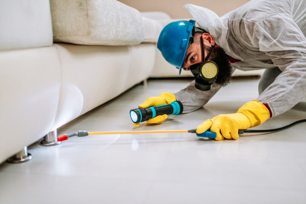 Duncanville Termite Control