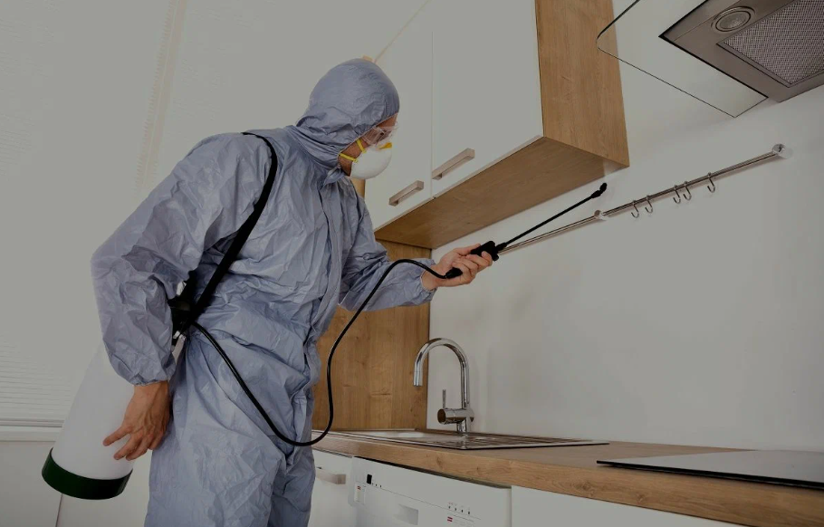Duncanville pest managment